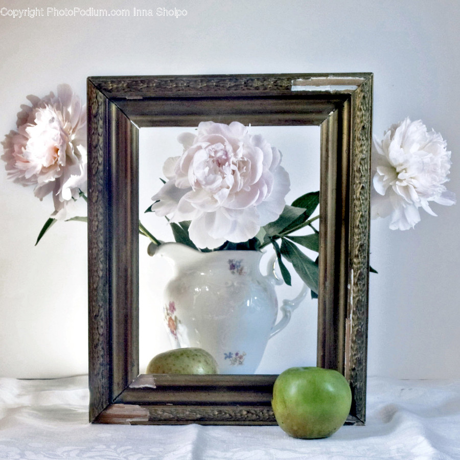Plant, Blossom, Flower, Apple, Food