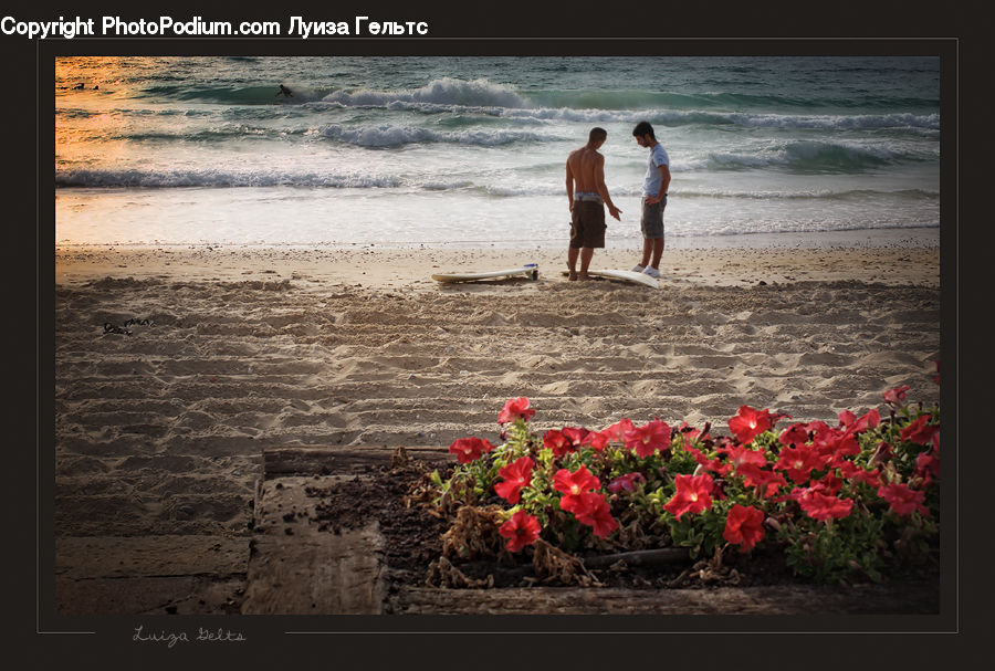 People, Person, Human, Beach, Coast, Outdoors, Sea