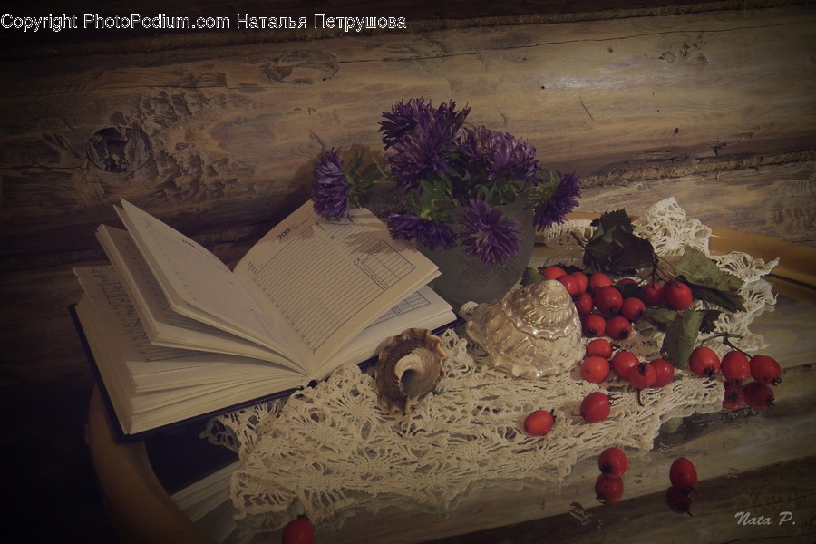 Book, Food, Furniture, Plant, Bird