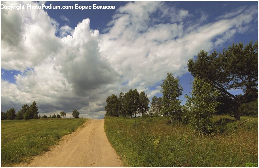 Dirt Road, Gravel, Road, Landscape, Nature, Scenery