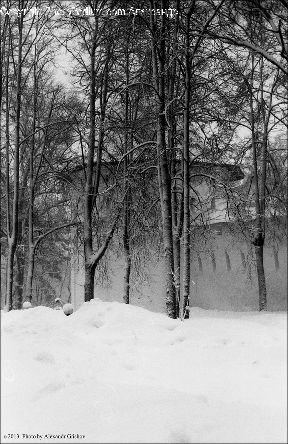 Snow, Blizzard, Outdoors, Winter, Nature