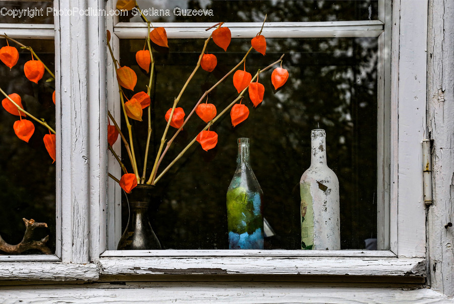 Bottle, Beverage, Drink, Banister, Handrail