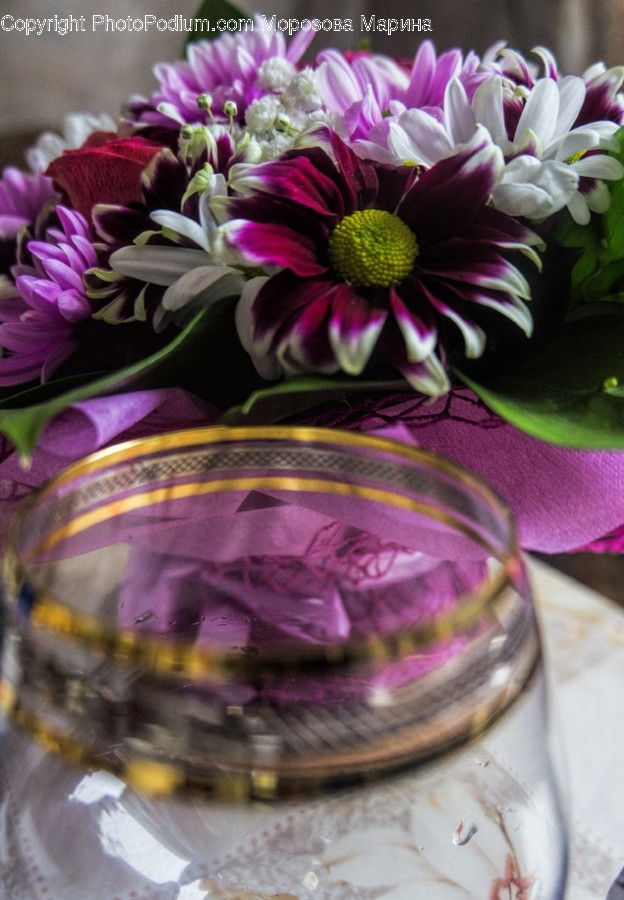 Plant, Flower, Blossom, Flower Bouquet, Flower Arrangement
