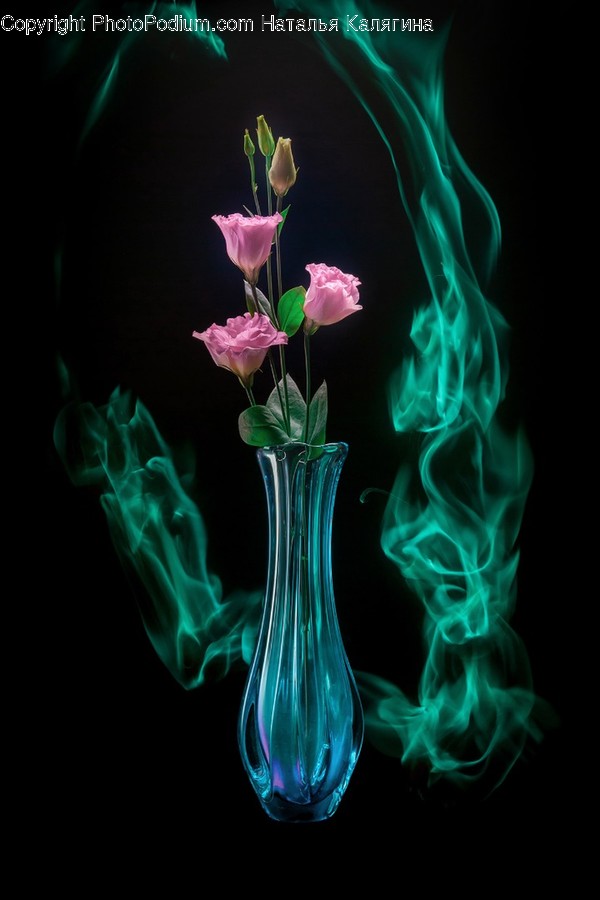 Plant, Jar, Pottery, Vase, Flower