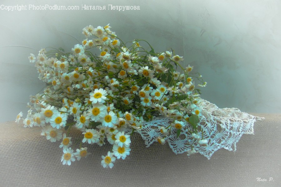 Plant, Flower, Blossom, Flower Arrangement, Flower Bouquet