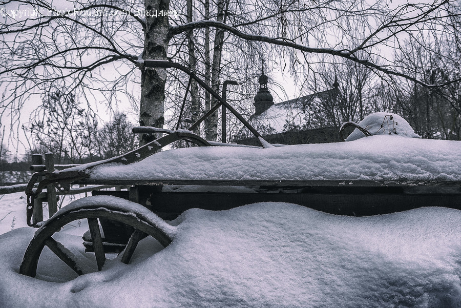 Nature, Outdoors, Snow, Tree, Plant