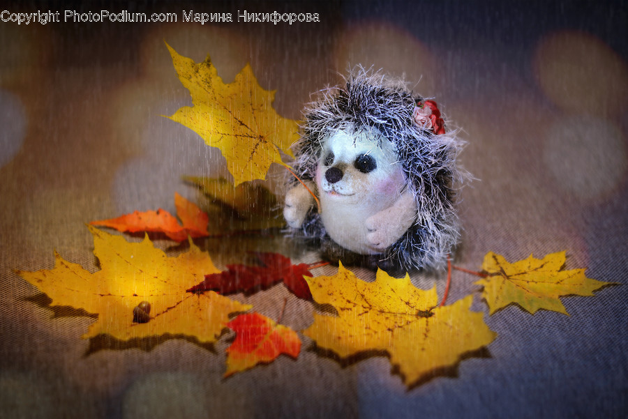 Leaf, Plant, Maple Leaf, Tree, Maple