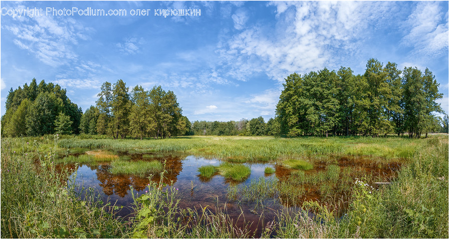 Land, Nature, Outdoors, Water, Marsh