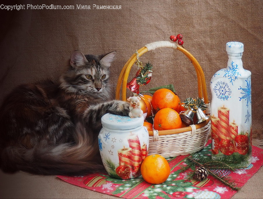 Plant, Fruit, Food, Citrus Fruit, Mammal