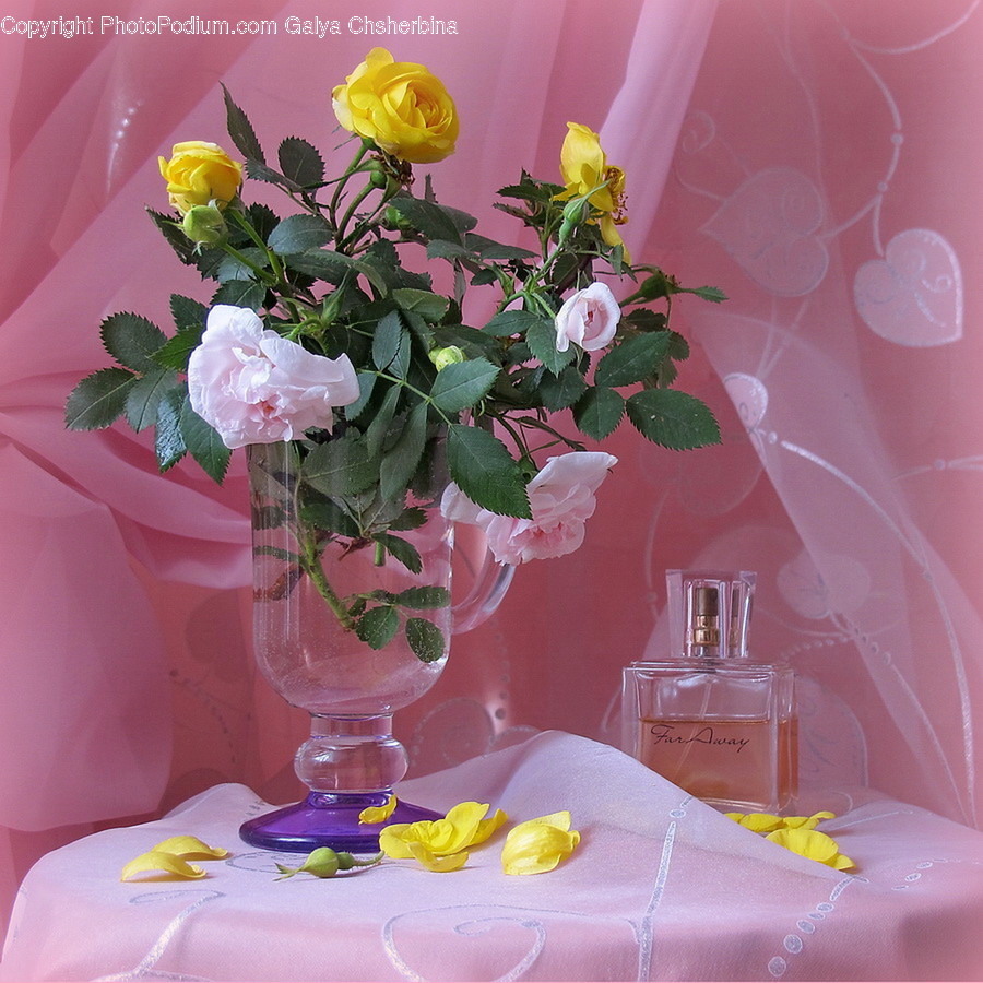 Plant, Blossom, Flower, Flower Arrangement, Flower Bouquet