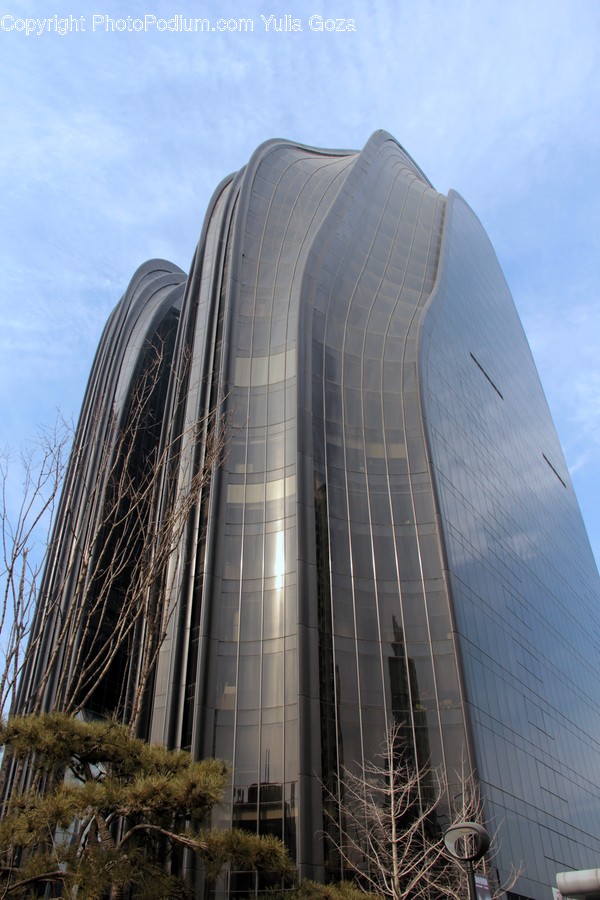 Office Building, Building, Architecture, High Rise, Town
