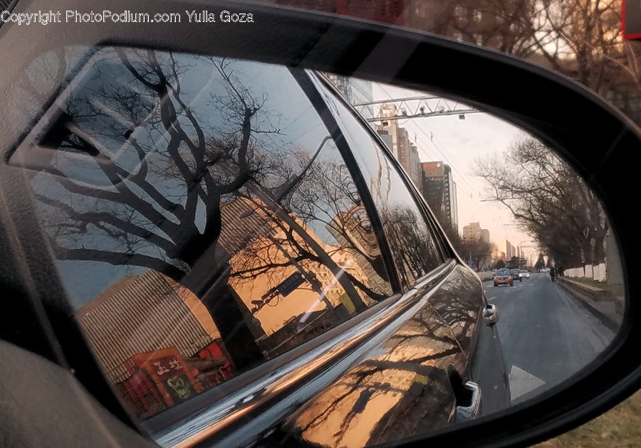 Mirror, Car Mirror, Person, Human, Vehicle