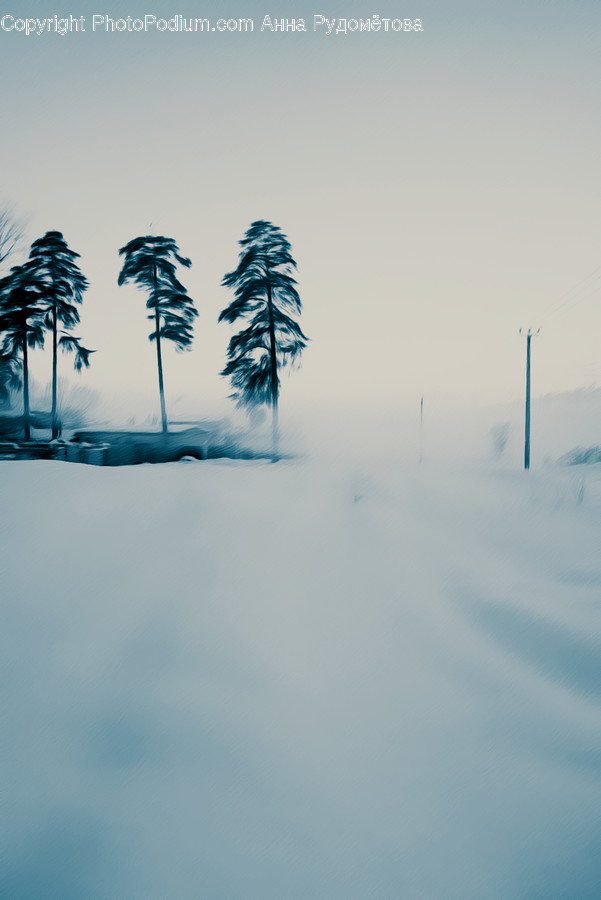 Nature, Outdoors, Weather, Snow, Tree