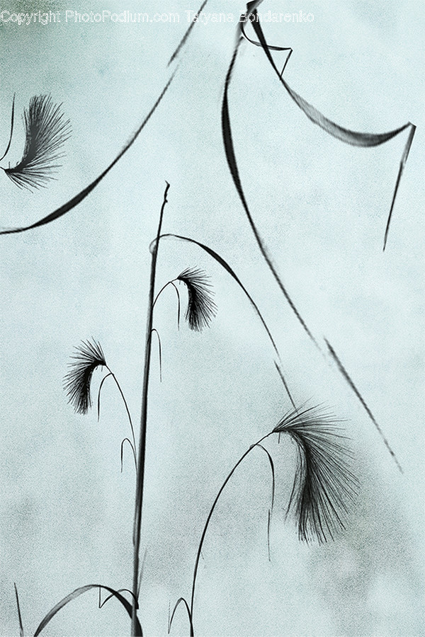 Grass, Plant, Drawing, Art, Animal