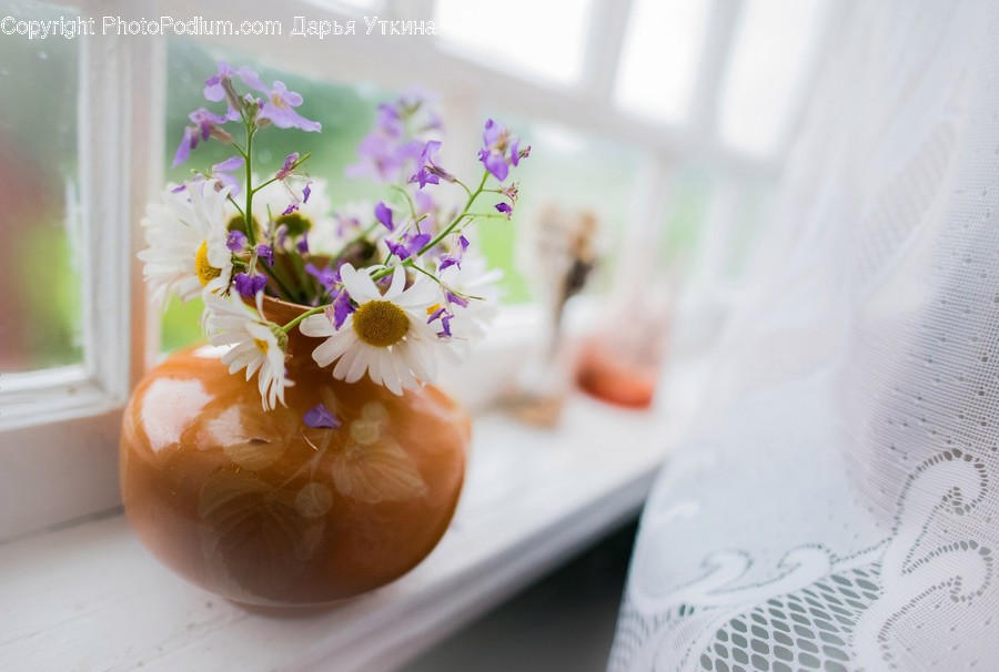 Plant, Blossom, Flower, Flower Arrangement, Art