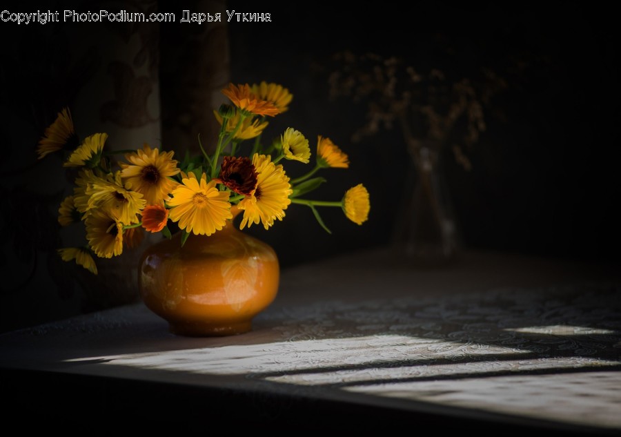 Plant, Flower, Blossom, Flower Arrangement, Flower Bouquet