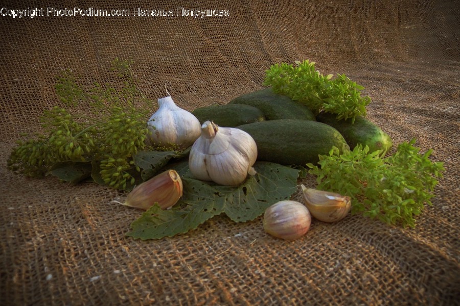 Plant, Food, Vegetable, Animal, Bird