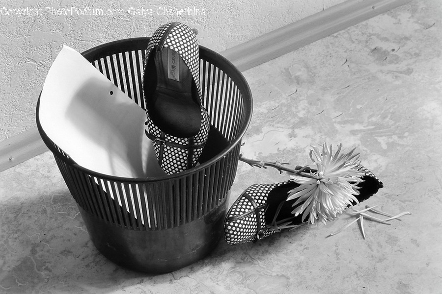 Chair, Furniture, Plant, Bowl, Blossom