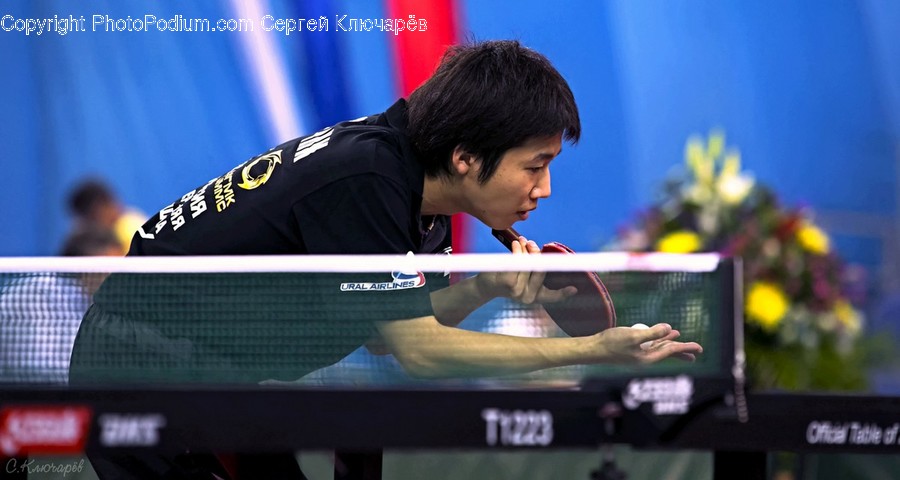 Person, Human, Ping Pong, Sport, Sports