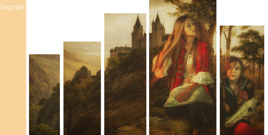 Advertisement, Collage, Poster, Person, Human