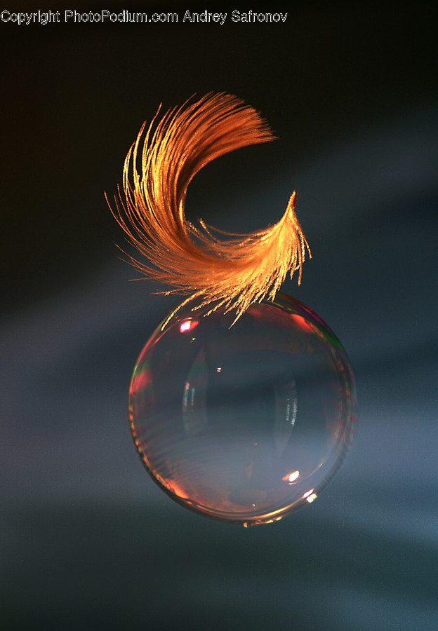 Bubble, Pattern, Ornament, Fractal