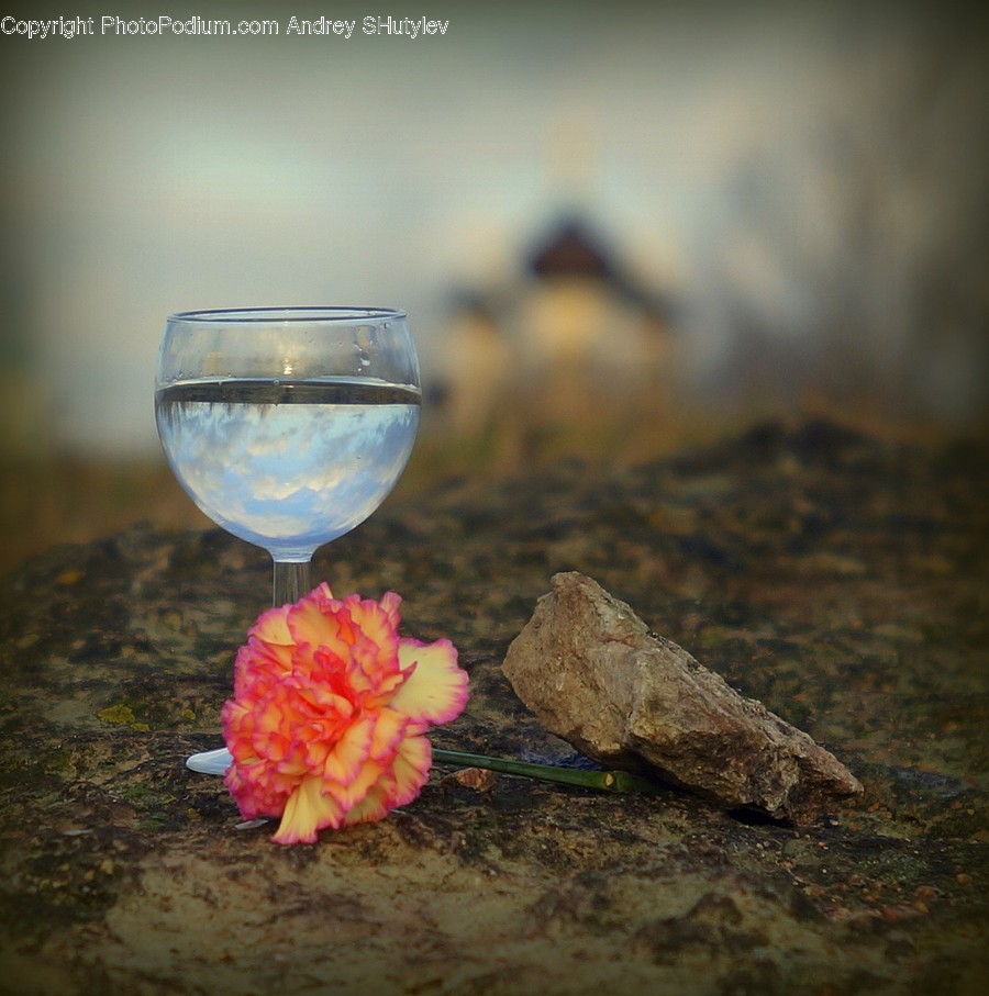 Glass, Goblet, Alcohol, Beverage, Drink