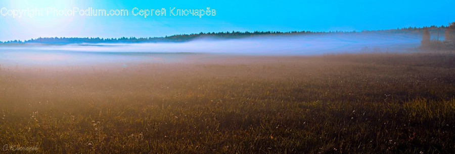 Nature, Weather, Outdoors, Fog, Mist