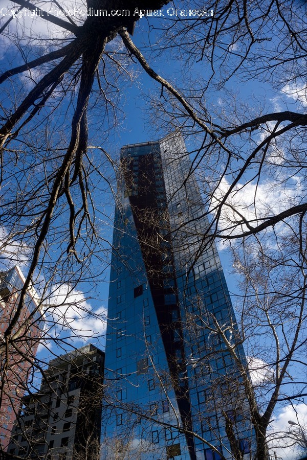 Building, Office Building, Town, High Rise, City