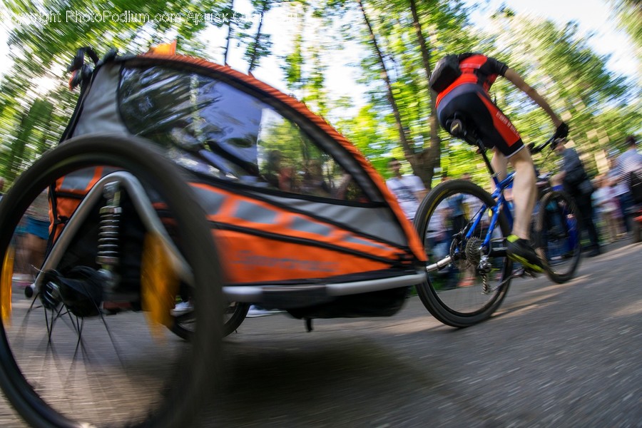 Machine, Wheel, Transportation, Bike, Bicycle