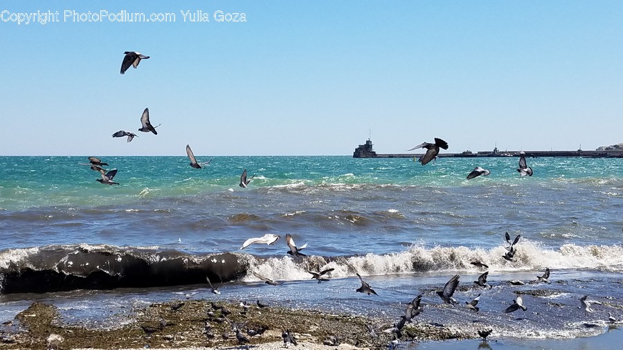 Water, Ocean, Sea, Nature, Outdoors