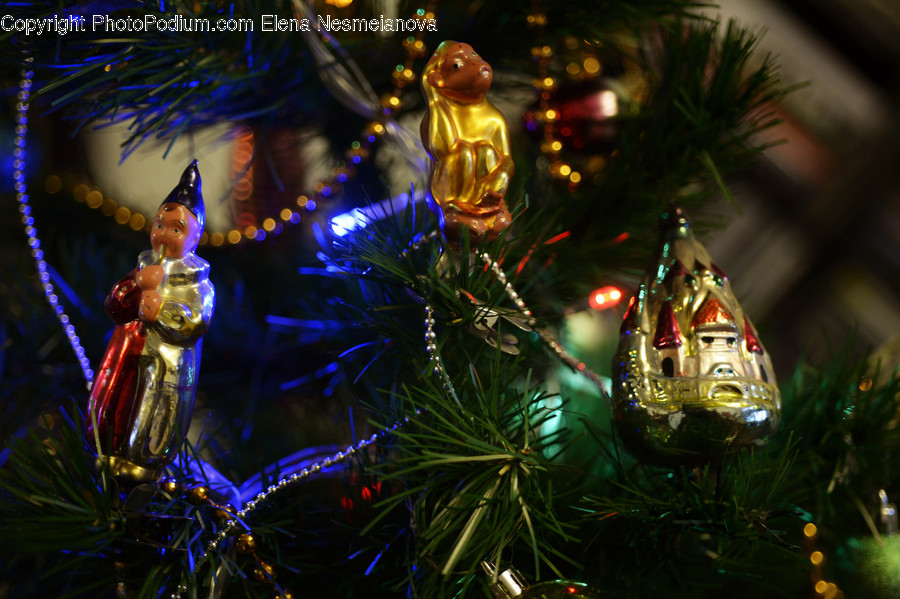 Plant, Tree, Christmas Tree, Ornament, Lighting