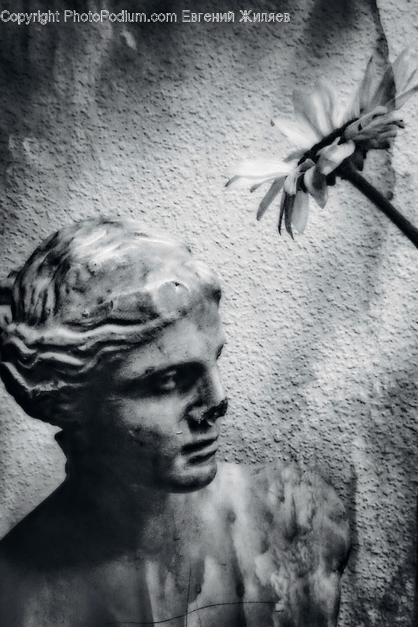Head, Human, Person, Art, Sculpture