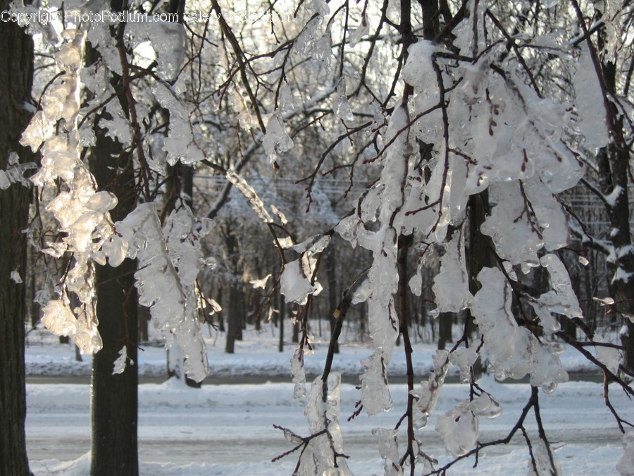 Nature, Outdoors, Ice, Snow, Winter