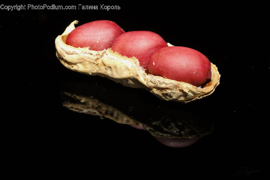 Plant, Food, Vegetable, Nut, Fungus
