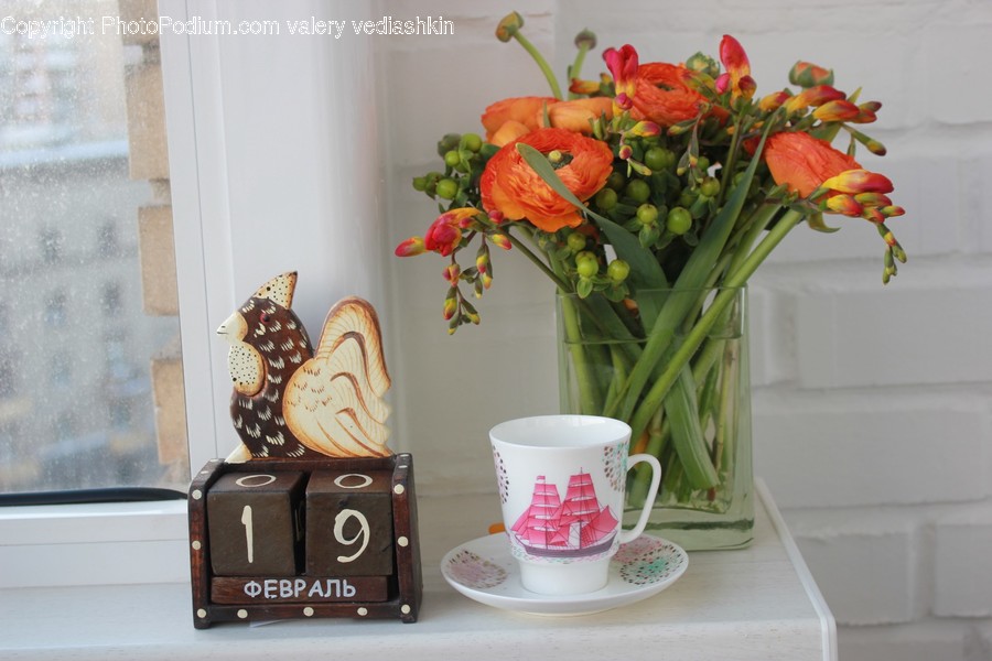 Pottery, Saucer, Coffee Cup, Cup, Plant