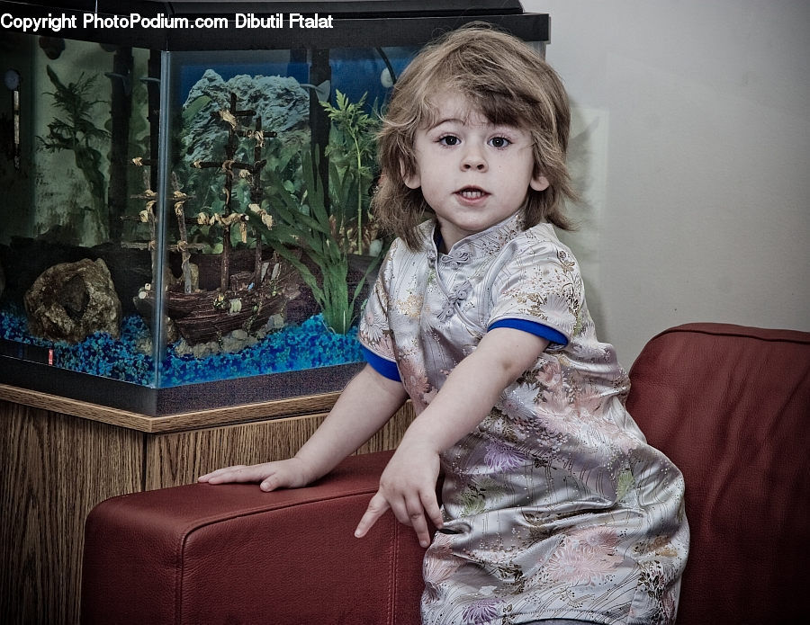 Plant, Potted Plant, People, Person, Human, Aquarium, Aquatic