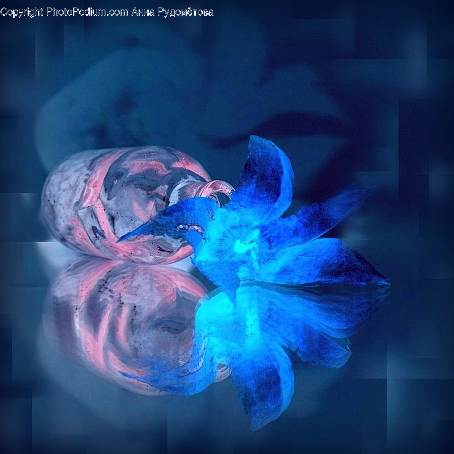 Animal, Sea Life, Invertebrate, Jellyfish, Art