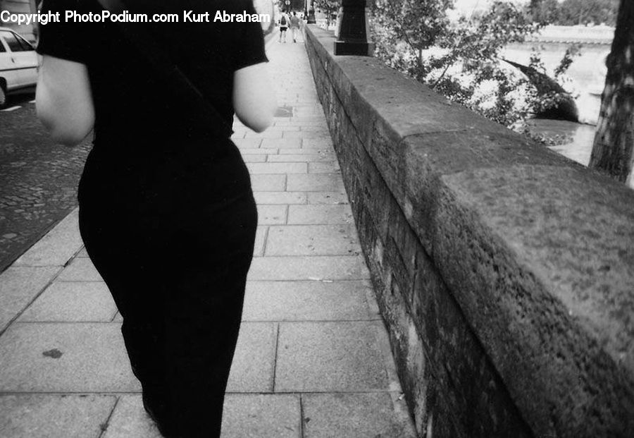 People, Person, Human, Plant, Potted Plant, Boardwalk, Path