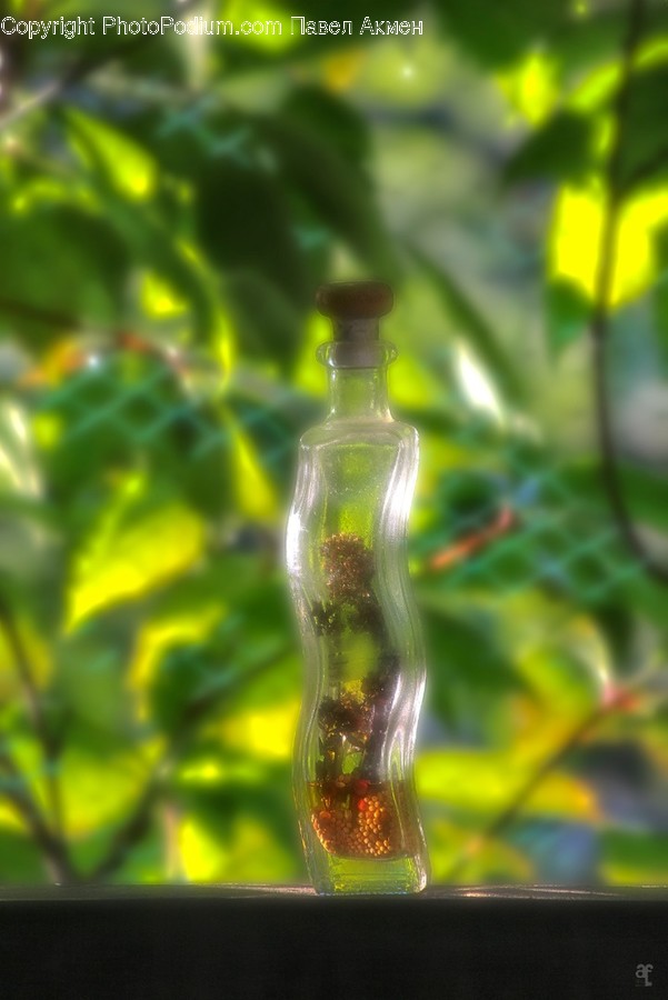 Plant, Glass, Bottle, Beverage, Drink