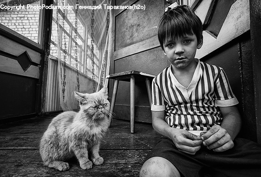 People, Person, Human, Animal, Chair, Furniture, Portrait