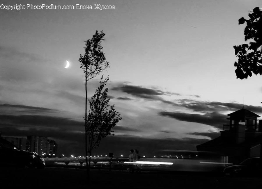 Nature, Outdoors, Weather, Silhouette, Tree