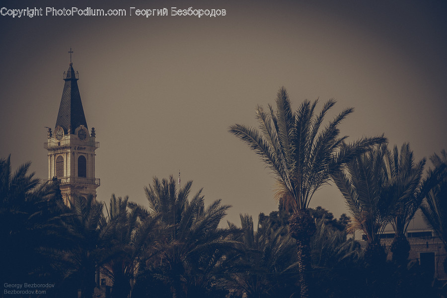 Architecture, Building, Tower, Steeple, Spire