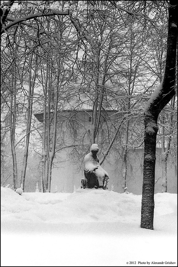 Blizzard, Outdoors, Nature, Winter, Snow