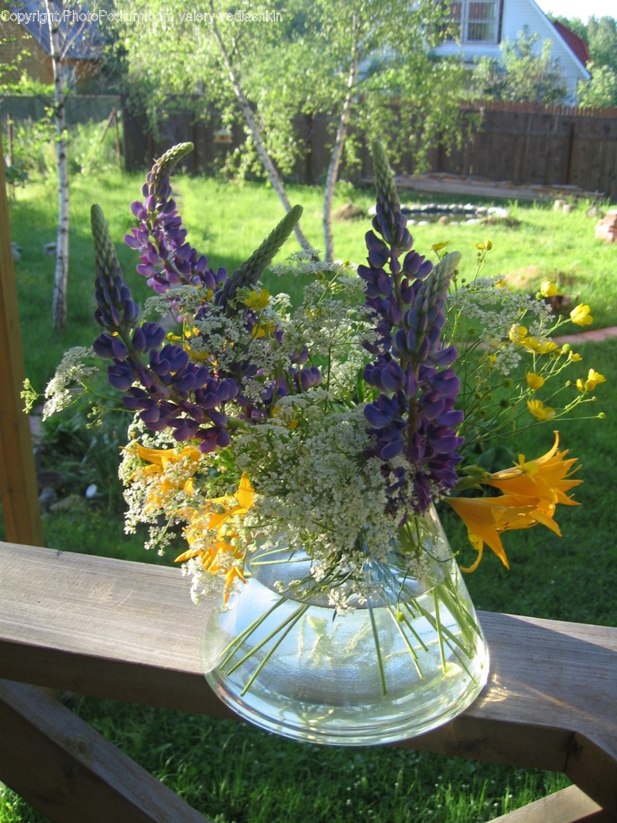 Plant, Ikebana, Blossom, Pottery, Jar