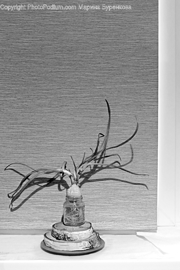 Plant, Antler, Art, Root, Insect