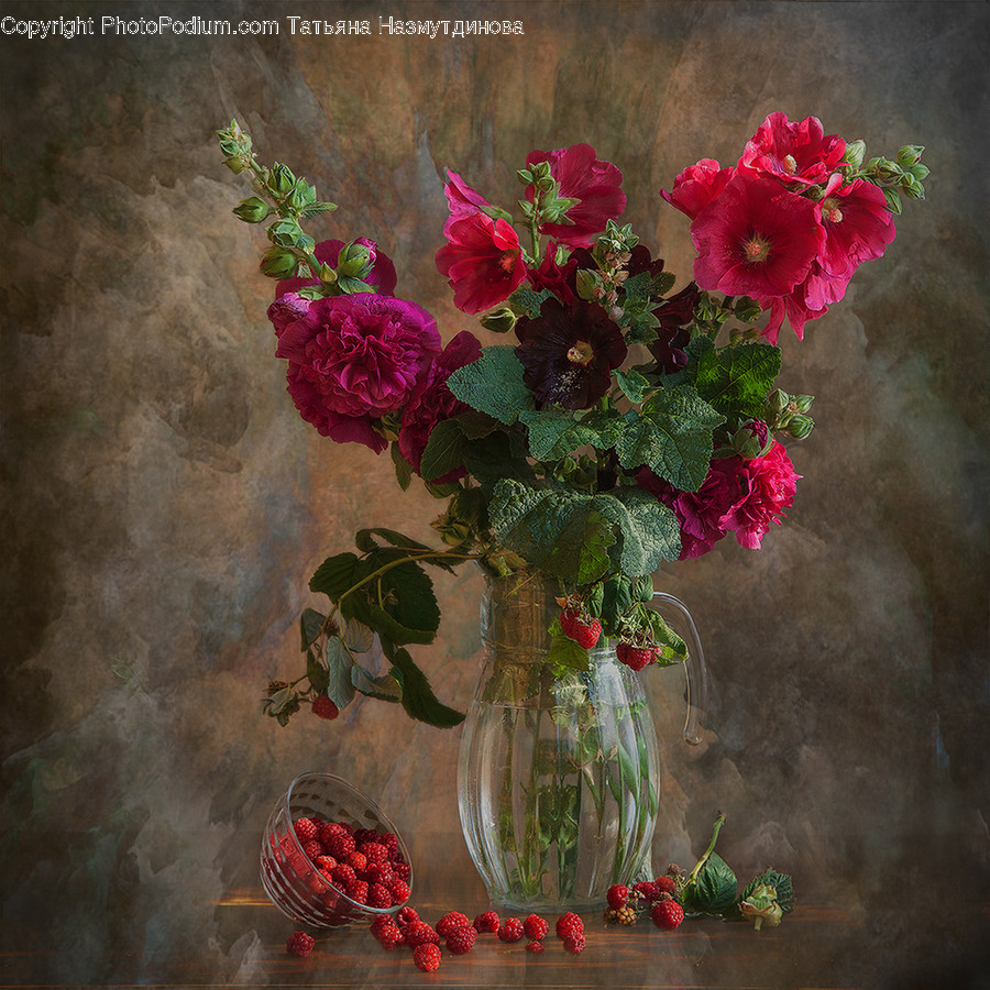 Plant, Painting, Art, Blossom, Flower