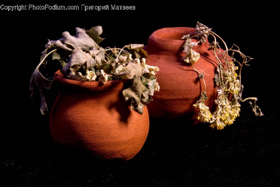 Plant, Produce, Food, Accessory, Accessories