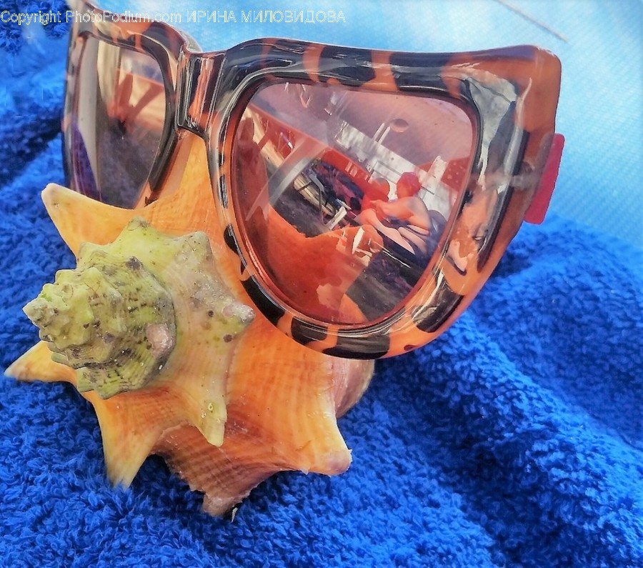 Accessory, Accessories, Sunglasses, Goggles, Glasses