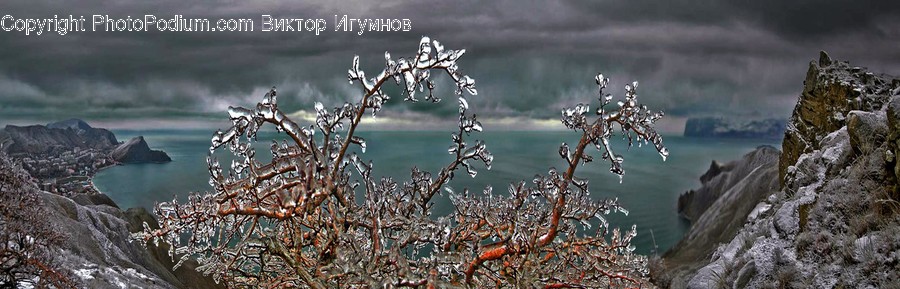 Ice, Nature, Outdoors, Frost, Snow
