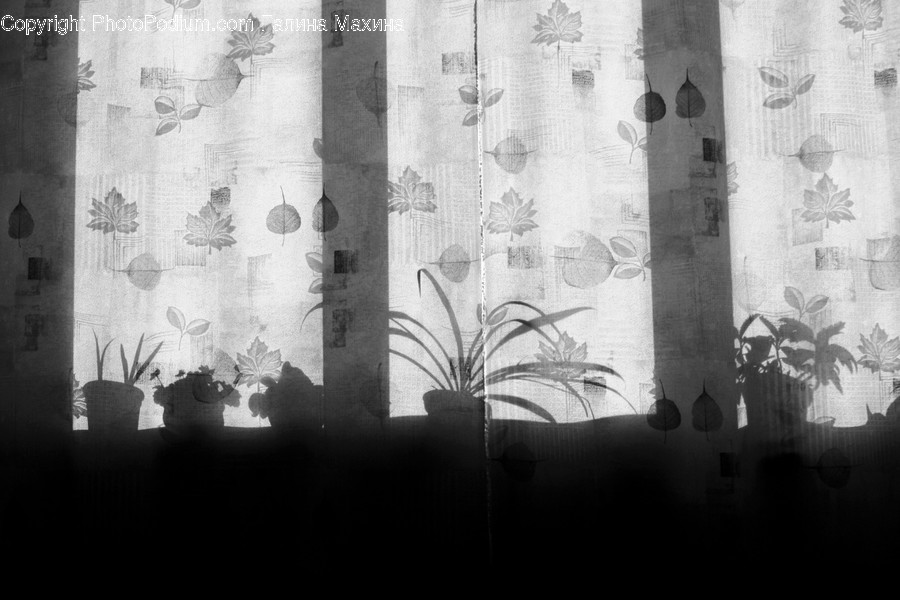 Curtain, Home Decor, Shower Curtain, Texture, Human